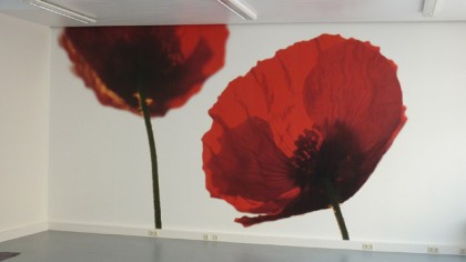 Fototapete Mohn